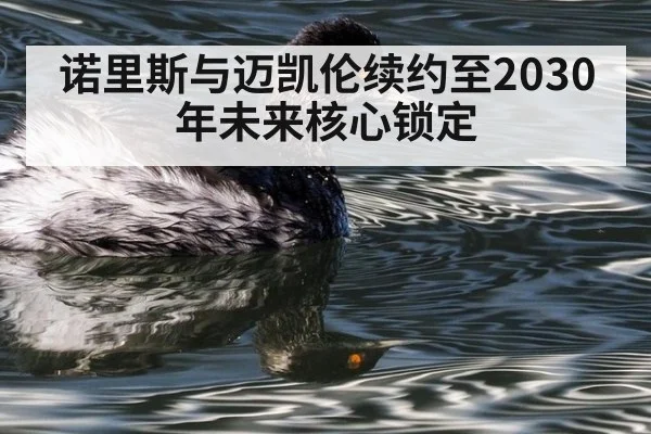 诺里斯与迈凯伦续约至2030年未来核心锁定