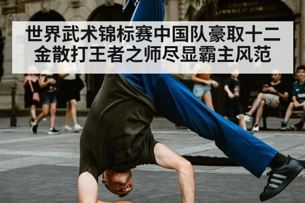 世界武术锦标赛中国队豪取十二金散打王者之师尽显霸主风范